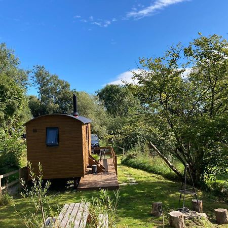 Herdwick Shepherd Hut Exeter Ngoại thất bức ảnh